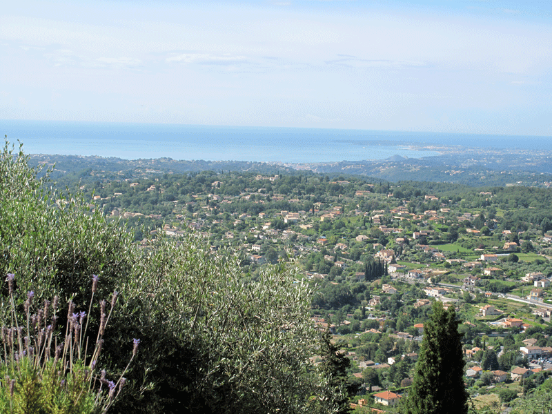 vue-panoramique